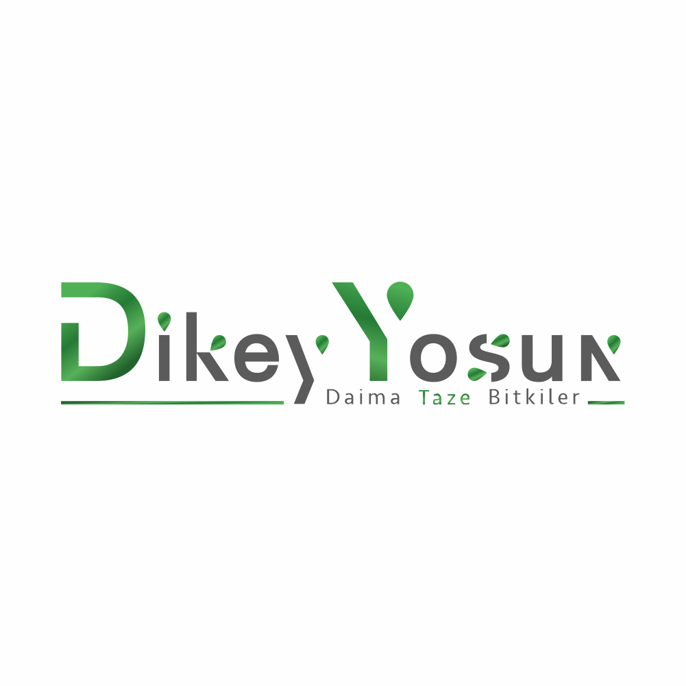 Dikey Yosun